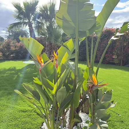 Ikal Βίλα Modugno